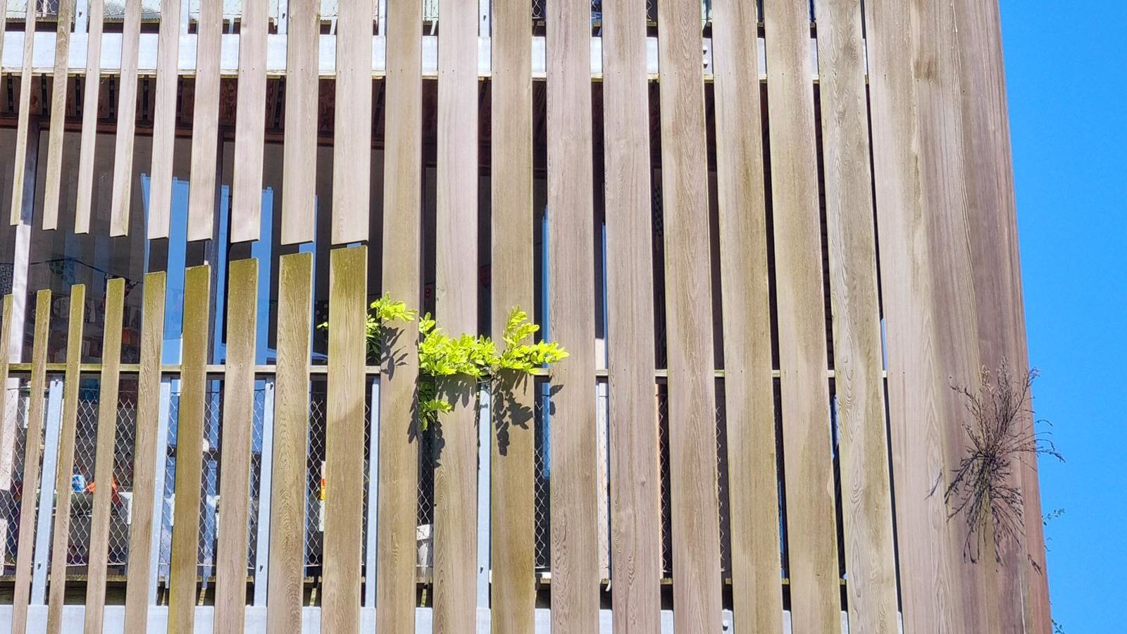 Façade en lames de bois sous un ciel bleu